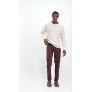 NEW GOODFELLOW CHINO SLIM FIT MAROON ROSE PANTS 30